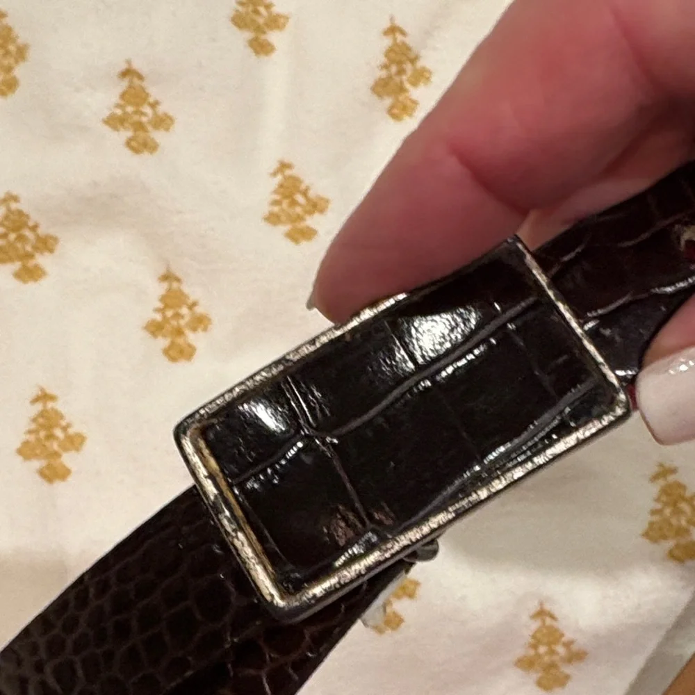Brown leather Belt with Silver outlined Buckle